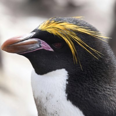 kevinwaton's profile picture. 