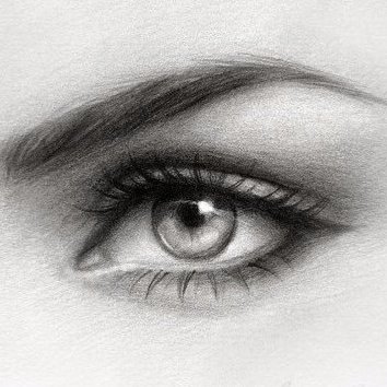 alanoude98's profile picture. 