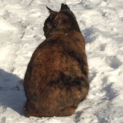 秋さんのプロフィール画像