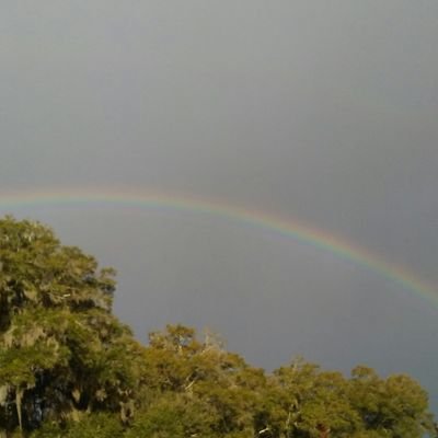 321_2973's profile picture. Sports NFL NBA MLB Soccer NHL NASCAR WWE Soccer Basketball MMA NCAA Football UFC Baseball