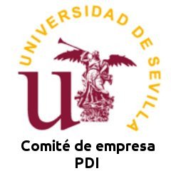 Perfil del Comité de empresa del personal docente e investigador de la Universidad de Sevilla