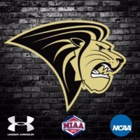 Lindenwood Track(@lindenwoodtrack) 's Twitter Profile Photo