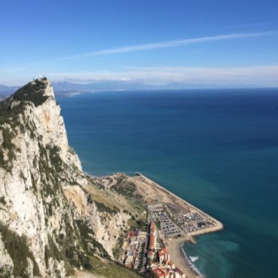 Toptottytt's profile picture. Im just a rare one 😆