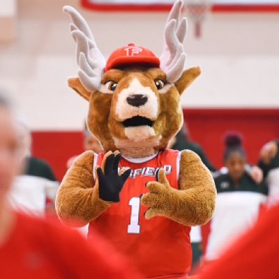 Official twitter of Fairfield University mascot Lucas the Stag!