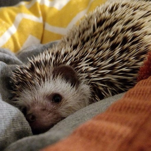 jilybeans4's profile picture. Resist