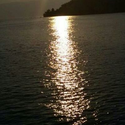 1Amonyakcicegi's profile picture. herşey ya da hiçbir şey..., farketmez