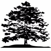 Black Woods Duluth (@blackwoodsgrill) 's Twitter Profile