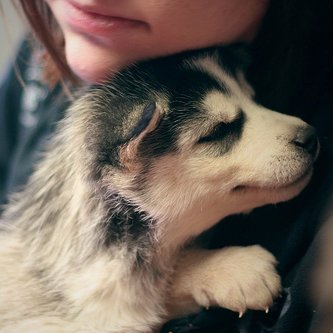 yohi212's profile picture. Una actitud equivocada conmigo, puedo devolverla.