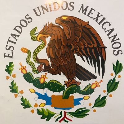 cancunbisnes's profile picture. 