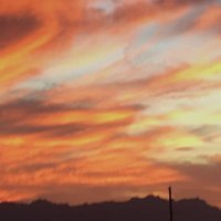 Desert Mom (@catalinamomaz) 's Twitter Profile
