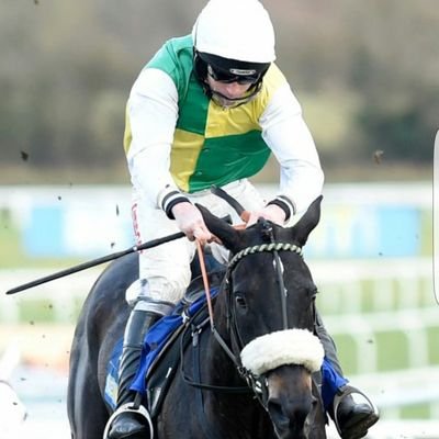 ajmorris15_andy's profile picture. 