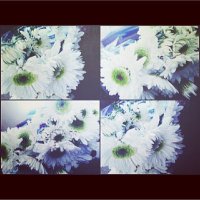 ' (@birhazirangel) Twitter profile photo