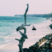 Nita Khandekar (@nitakhandekar) 's Twitter Profile