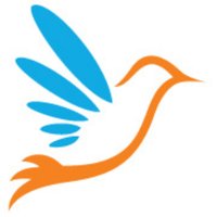 Count On Us (@countonusstore) 's Twitter Profile