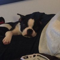 Michelle G. Barker (@michellegbarker) 's Twitter Profile
