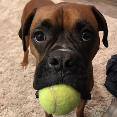 o_lynchy's profile picture. I do complicated arts & crafts