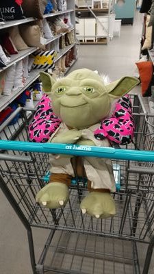 DrShoofly's profile picture. 