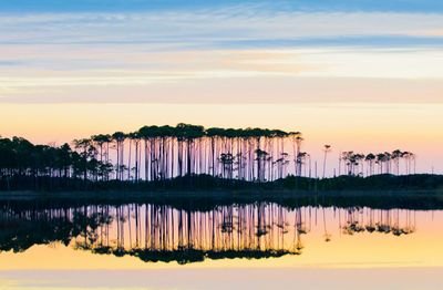 smith_crsmith's profile picture. #TakeBackFlorida
#VoteBlue