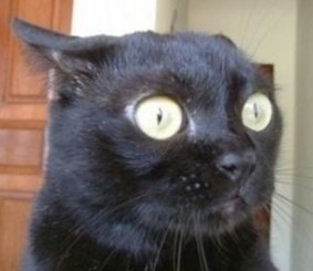 ClassicFun's profile picture. Funny and interesting Links.