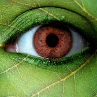 Susan M (@ladyhydepark) 's Twitter Profile