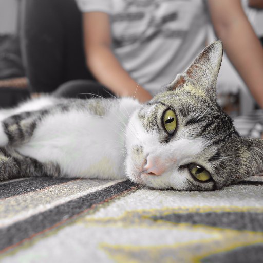 wikitopan's profile picture. #PenginapanTopan. #Pangandaran HP/WA : 087822543568 reservasi penginapan pangandaran.