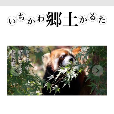 市川市は、万葉の昔より歴史を育んできた由緒ある街です。いちかわ郷土かるたはhttps://t.co/sgY7o0LI3Fから無料でダウンロードできますので、学校やご家族や地域の皆様でご活用ください。 ツイッターを始めました。