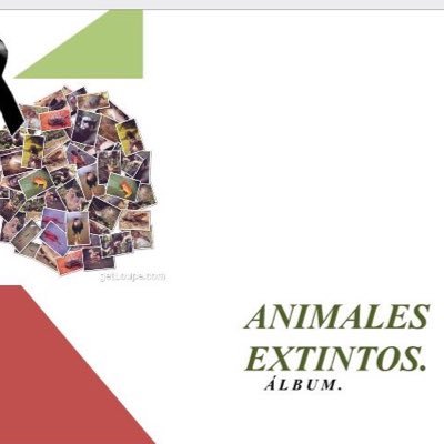 Proyecto de Ecología🌏💚|| Colegio de Bachilleres, Playa del Carmen.