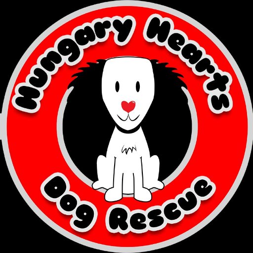 We are a small non-profit UK charity saving dogs from the streets and death row in Hungary, finding loving homes for them in the UK #Race2RescueDogs