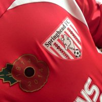 SpringheadFC (@fc_springhead) 's Twitter Profile