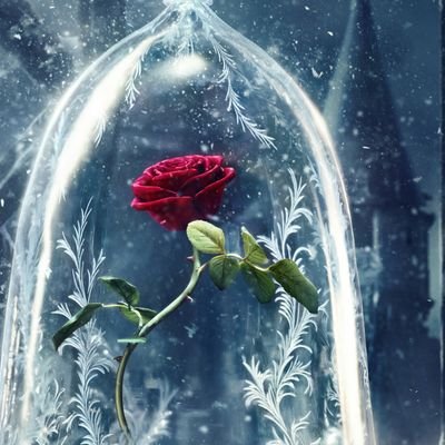 egner_art's profile picture. 🎨🖌