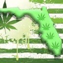 high hank.bird - @thebirddee1 - Twitter