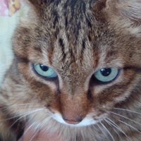 ロンリーシューター (@lonely12ban) Twitter profile photo