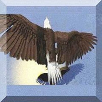 glopol_analysis's profile picture. Focus on globally relevant political, economic, social issues; Debunking  MSM myths & propaganda; Revealing hidden history; Reverse #Islamisation Ban #ShariaLaw