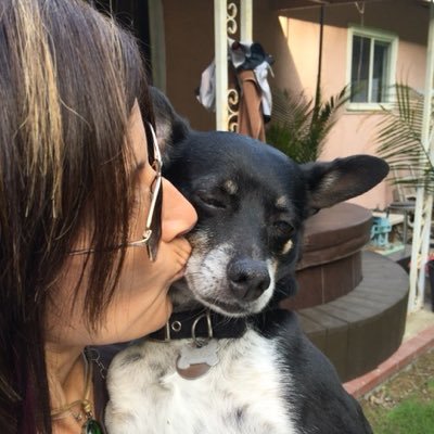 marcibencomo's profile picture. Keeping the peace.