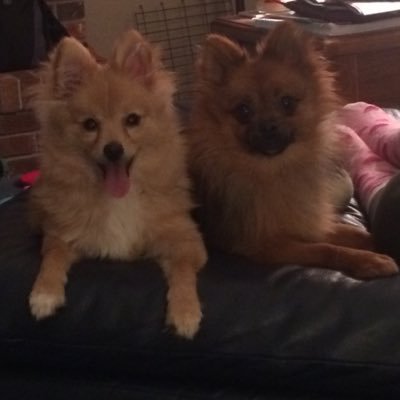 mrspattersonfes's profile picture. 