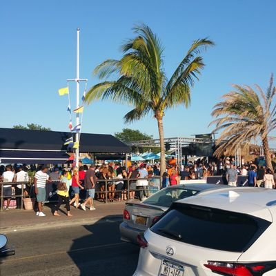 El árbol de Florida no viven de lo caído si no d lo que a vivido