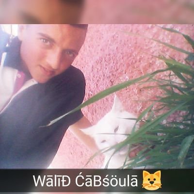 Walidcabsoula's profile picture. ♡