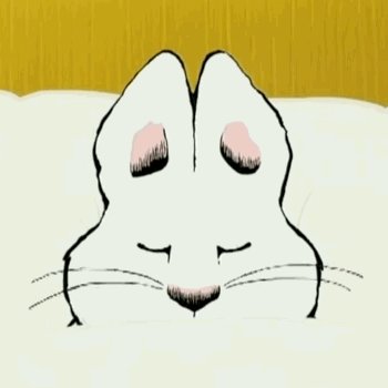 carolinekopit's profile picture. she/her