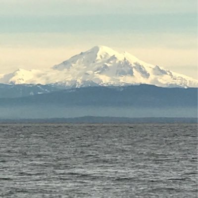 BuchananHobbes's profile picture. Marine wildlife freak!