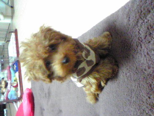 ziploc66's profile picture. はじめまして。アメリカ、東京を経て11年ぶりに地元帰ってきました。やっぱ地元ってのはいいもんだねぇ。よろしくね。