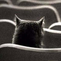 Gabo Mena (@gabo_menap) Twitter profile photo