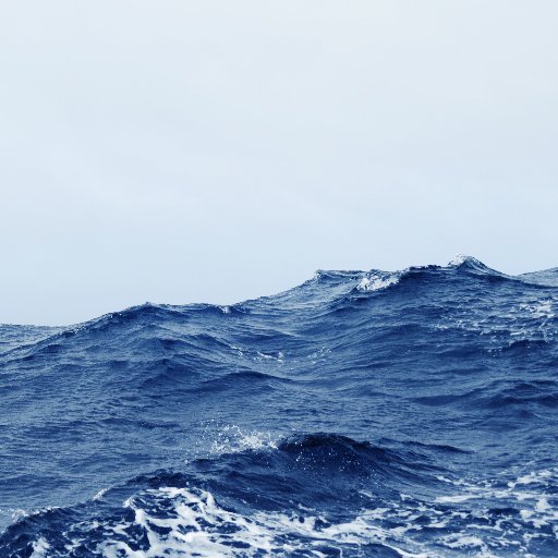 anaclaver1's profile picture. 