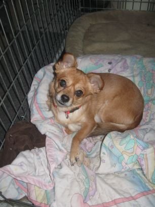 JoanMHosking1's profile picture. Patriots, get ready to CELERATE!