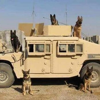 LoveAnimalsDislikeAnimal AbusersOccupationDriverW/ Chairs/Private,Dialyisis,Cancer, Veteran.HospiceDeliveryLove All Vets.RespectedAlwaysNeverA DayFORGOTTEN