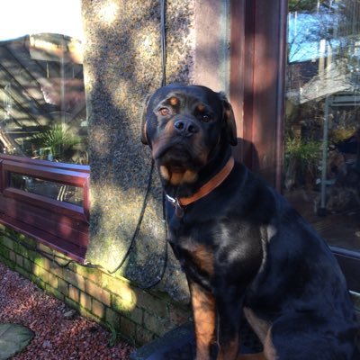 jamesah49's profile picture. Hate animal cruelty including factory farming in order to feed overpopulation