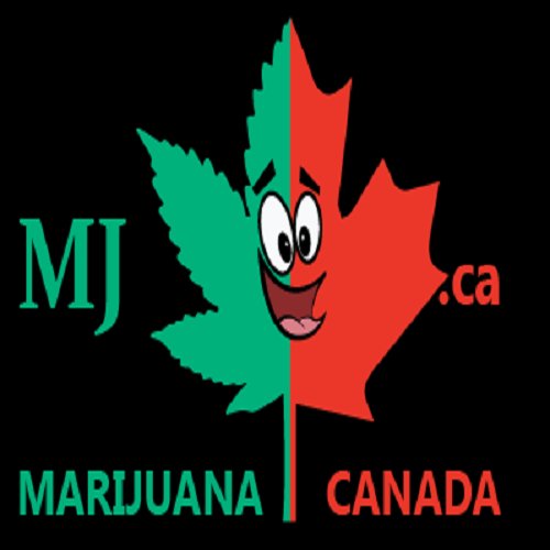 Mj.ca Canada's premiere Marijuana site. Products deals contests education & more All posts are our opinions Chat post and learn. #cannabis #marijuana
