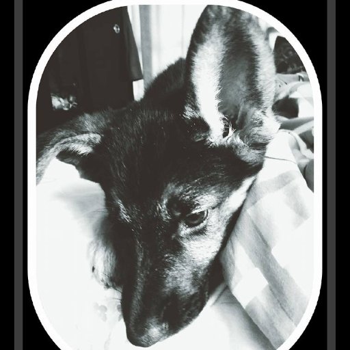 Spartanus058's profile picture. Hola que hace