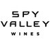 Spy Valley Profile Image