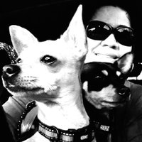 Martha Reyes (@neisd_reyes) 's Twitter Profile Photo Martha Reyes (@neisd_reyes) 's Twitter Profile Photo