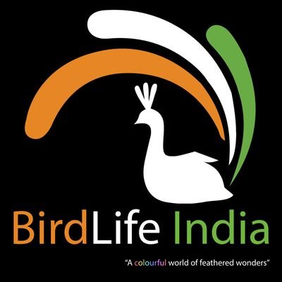 Team of professional birdwatching guides and photographers, promoting birdwatching and bird conservation all over India.